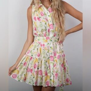 NEW Cynthia Rowley Linen Fruit Print Fit-and-flare Short Mini Dress Size 6